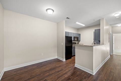 A kitchen area with a counter and cabinets.