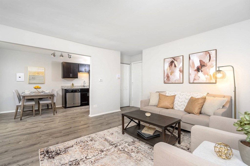 apartment living room with gray sofa and kitchen with dining area