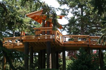 a tree house perched on top of trees