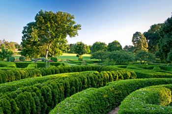 the morten arboretum bush garden maze