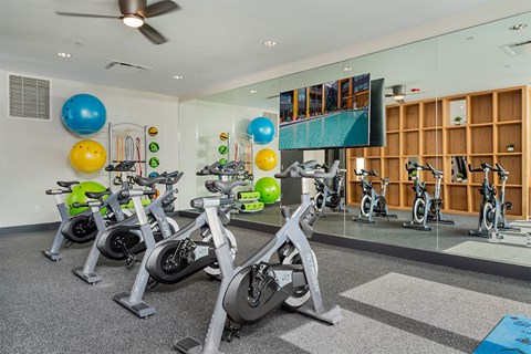 A gym with stationary bikes and exercise balls.