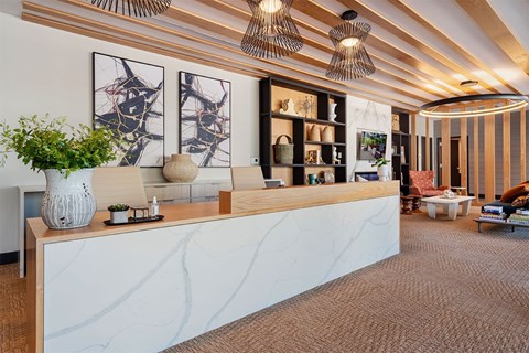 A reception area with a white reception desk and a plant on it.