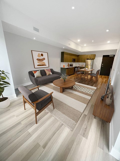 A living room with a couch, chair, and a rug.