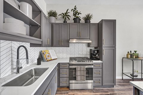 Albion Highland Park Apartment Kitchen