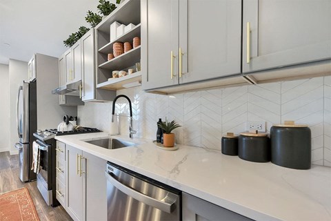 Albion Highland Park Apartment with Grey Cabinets