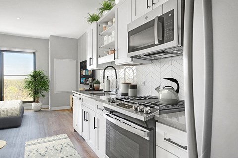 Albion Highland Park Apartment Kitchen