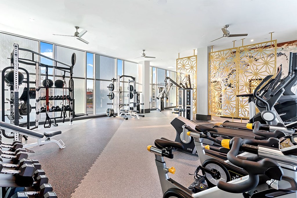 a workout room with weights and a wall of windows