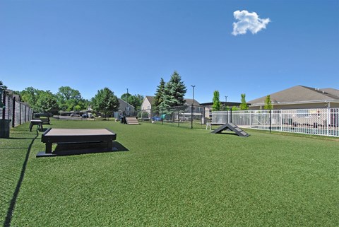 a picnic table in a fenced in dog park
