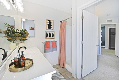 a bathroom with a sink and a shower and a mirror