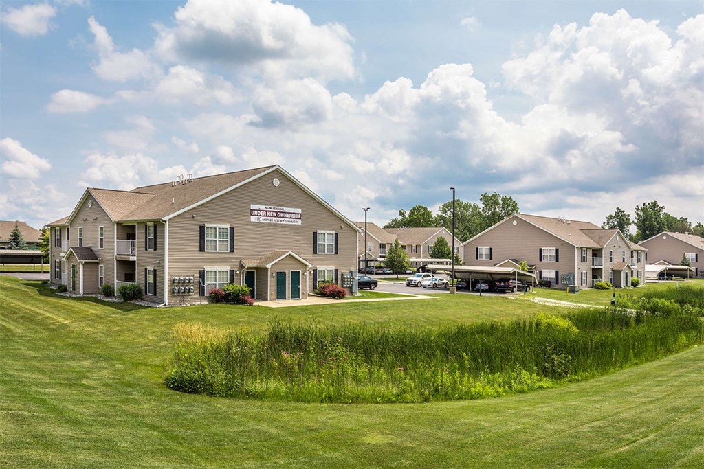 a row of houses with a green lawn in front of them