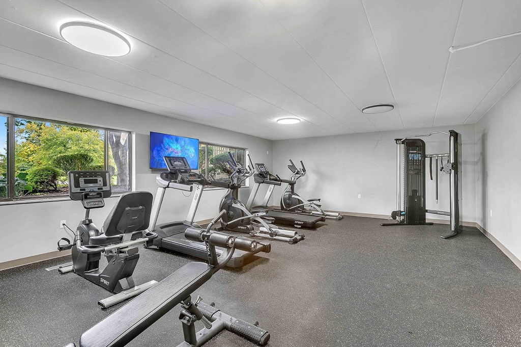 the gym has plenty of exercise equipment and windows