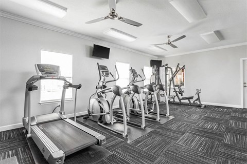 our gym is equipped with a variety of exercise equipment