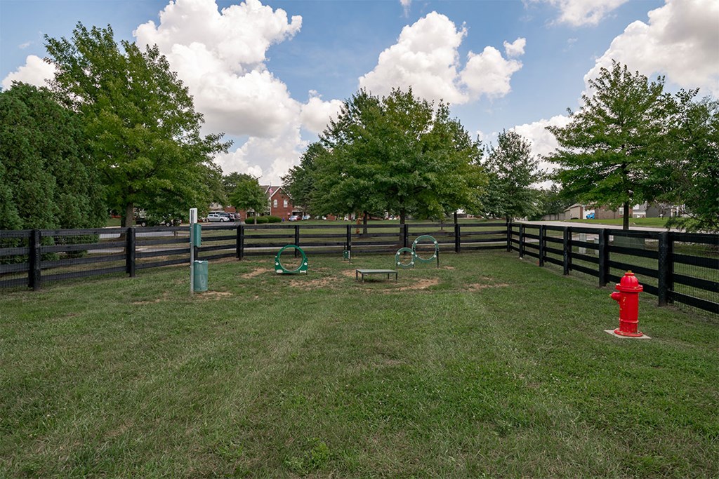 a yard with a red fire hydrant and a fence