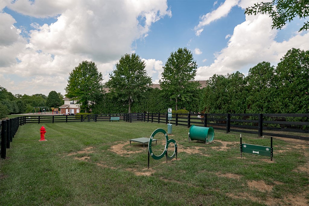 a park with a fire hydrant and a playground