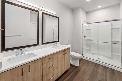 A modern bathroom with a walk-in shower and a vanity with a sink and mirror.