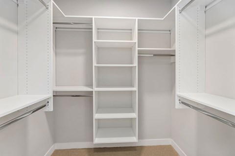 A white walk-in closet with shelves and a carpeted floor.