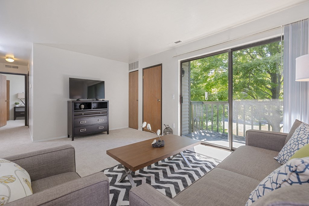 a living room with a couch and a coffee table and a television