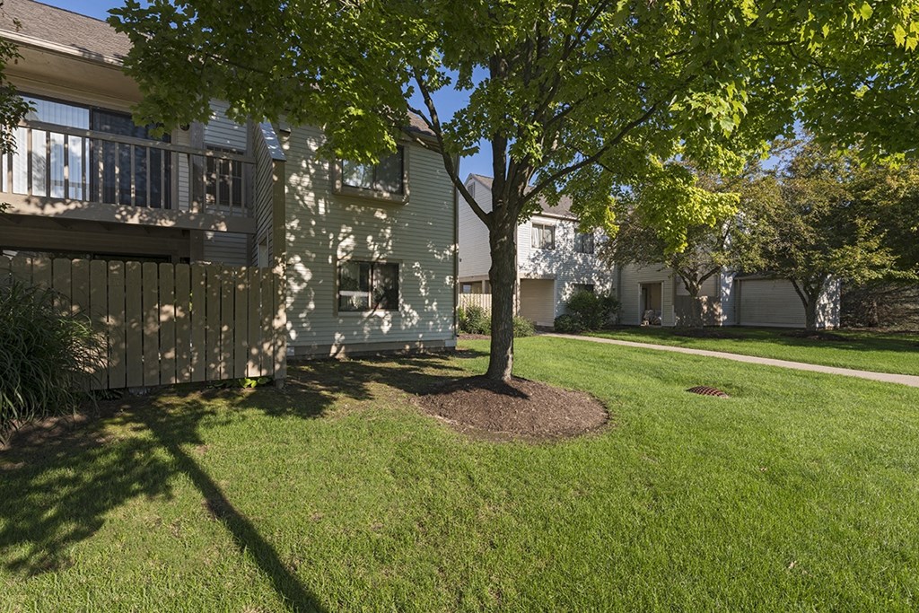 a yard with a tree in front of a house
