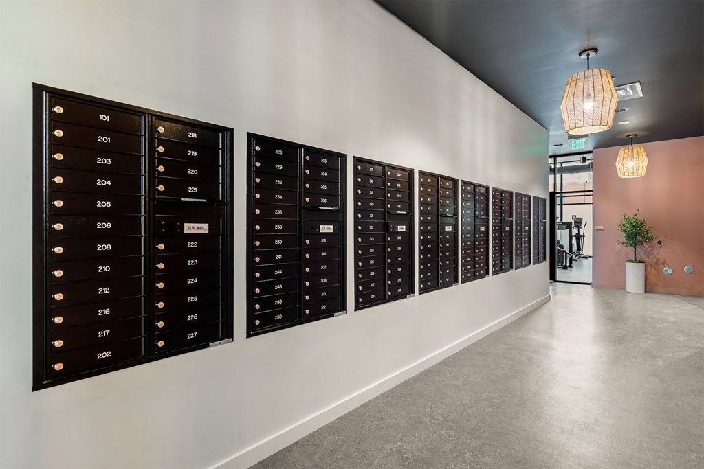 a wall of wine bottles on a wall in a room
