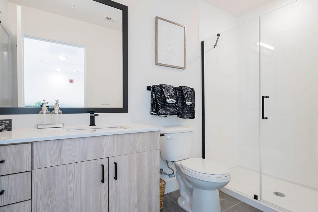 a bathroom with a sink toilet and a shower