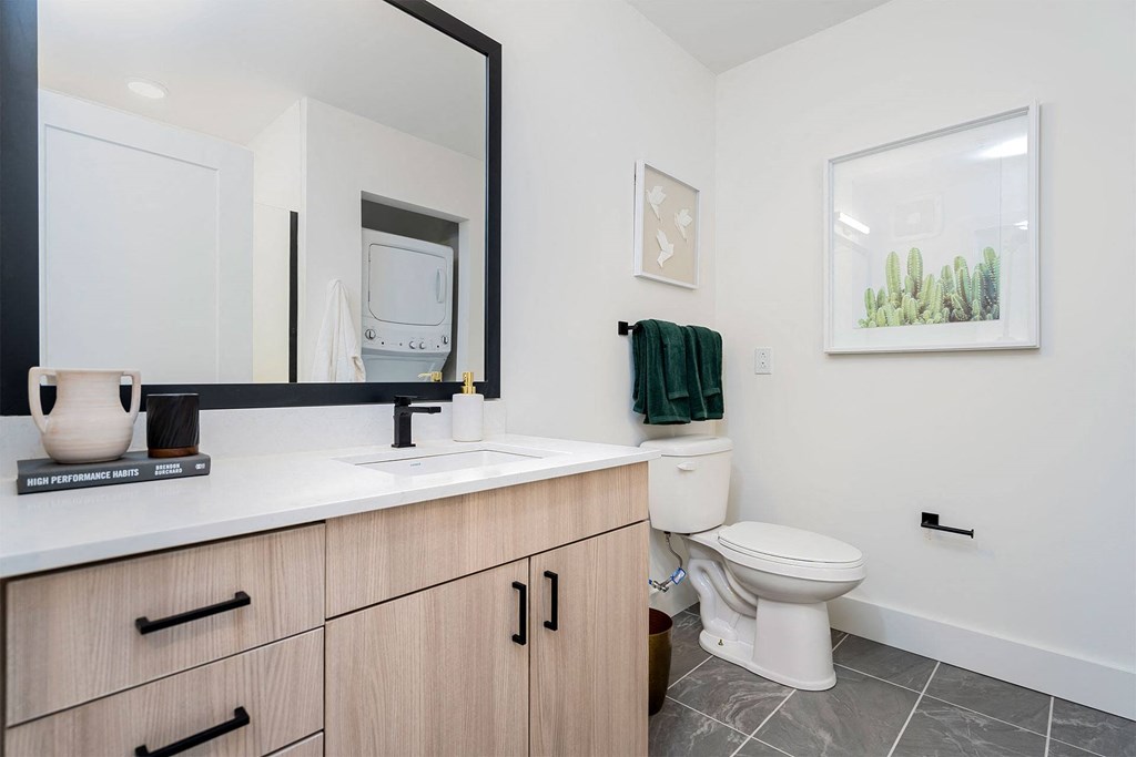 a bathroom with a sink and a toilet and a mirror