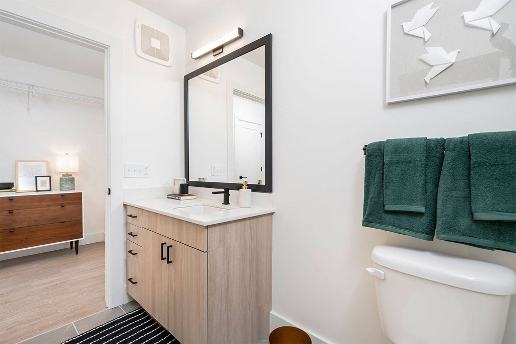 a bathroom with a sink and a mirror and a toilet
