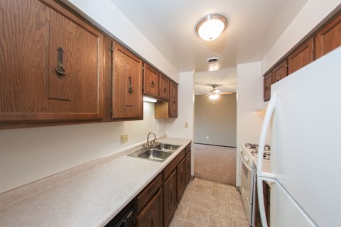 Apartment Kitchen