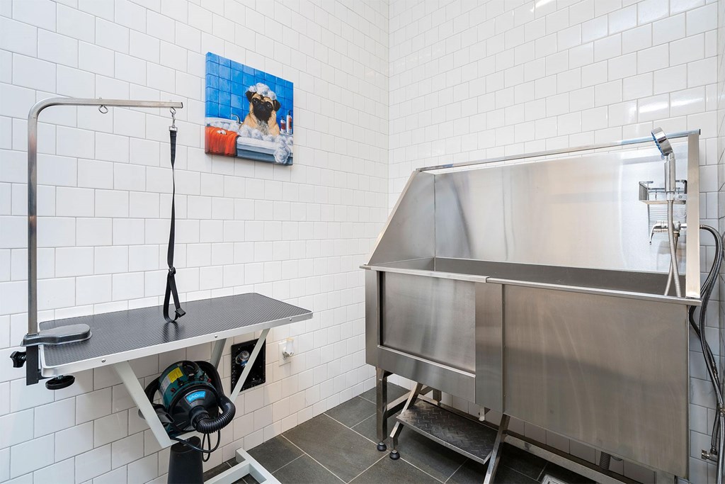 A dog is on a poster on the wall.