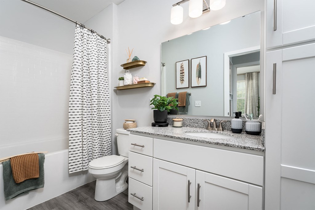 a bathroom with a shower and a toilet and a sink