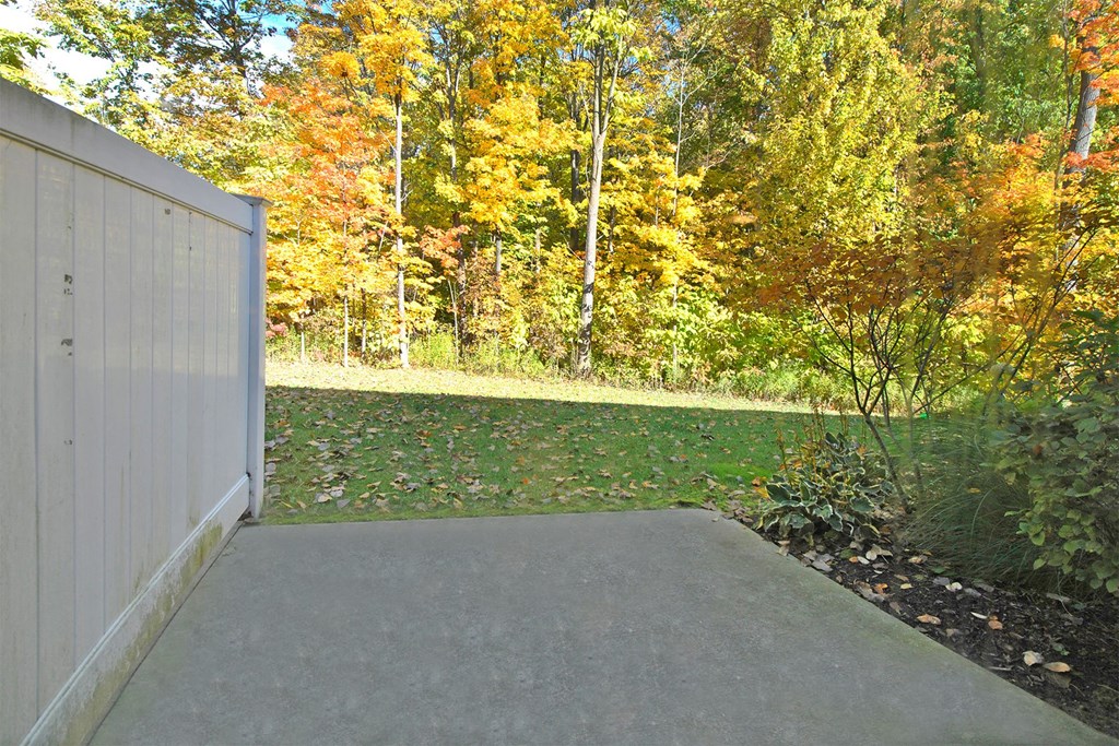 a driveway leading to a yard with trees in the background