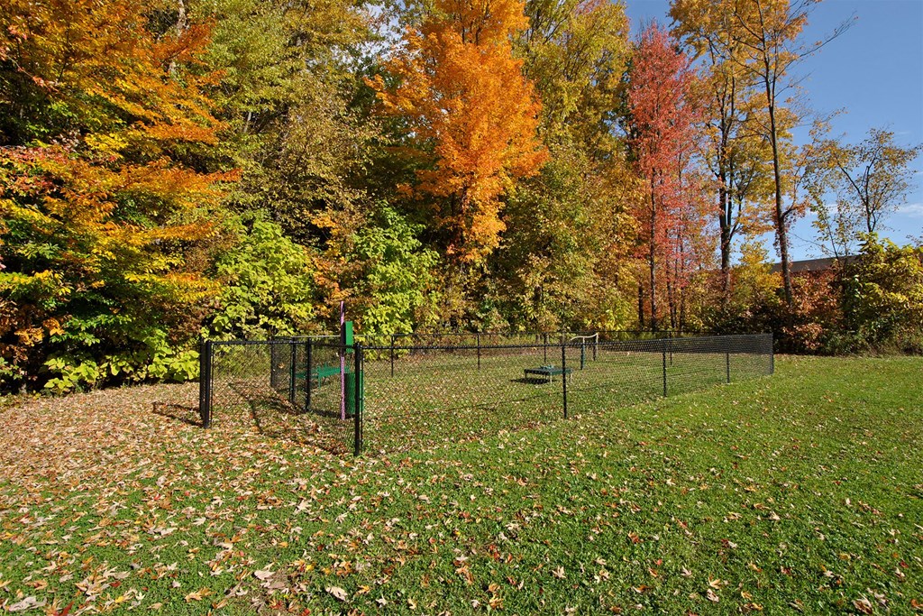 a fenced in dog park with trees in the background