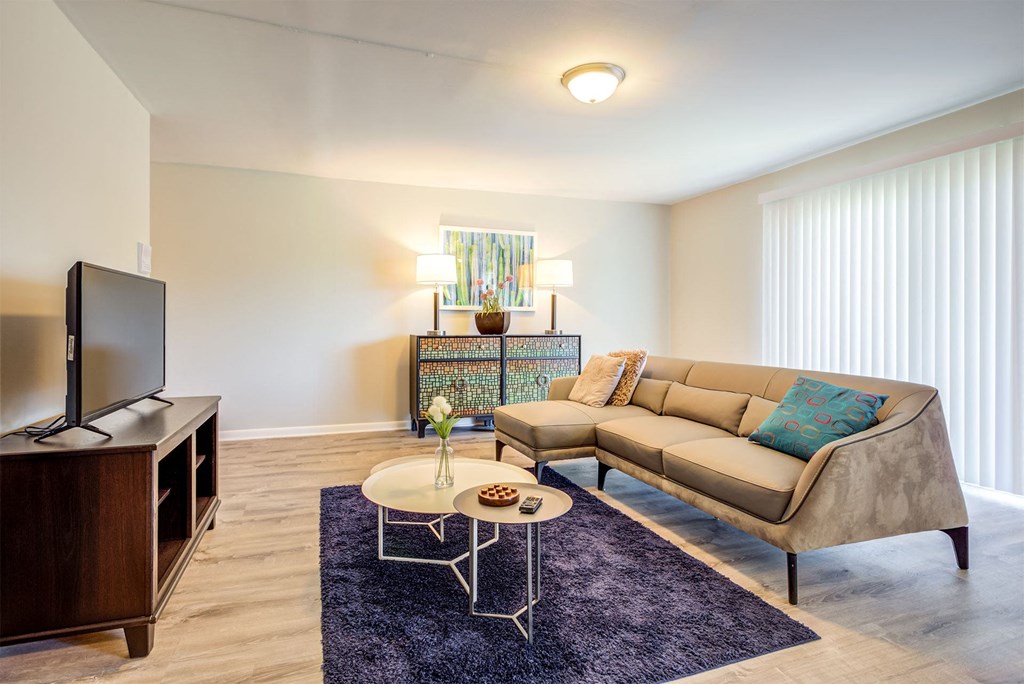 a living room with a couch and a television
