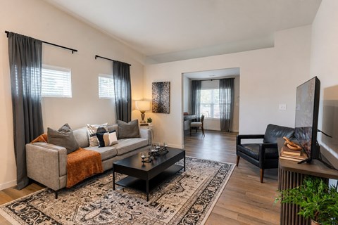 A living room with a grey couch, a black coffee table, and a television.