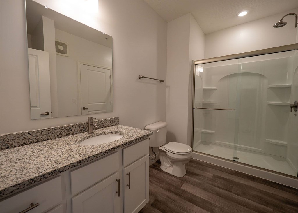 A bathroom with a sink, toilet, and shower.