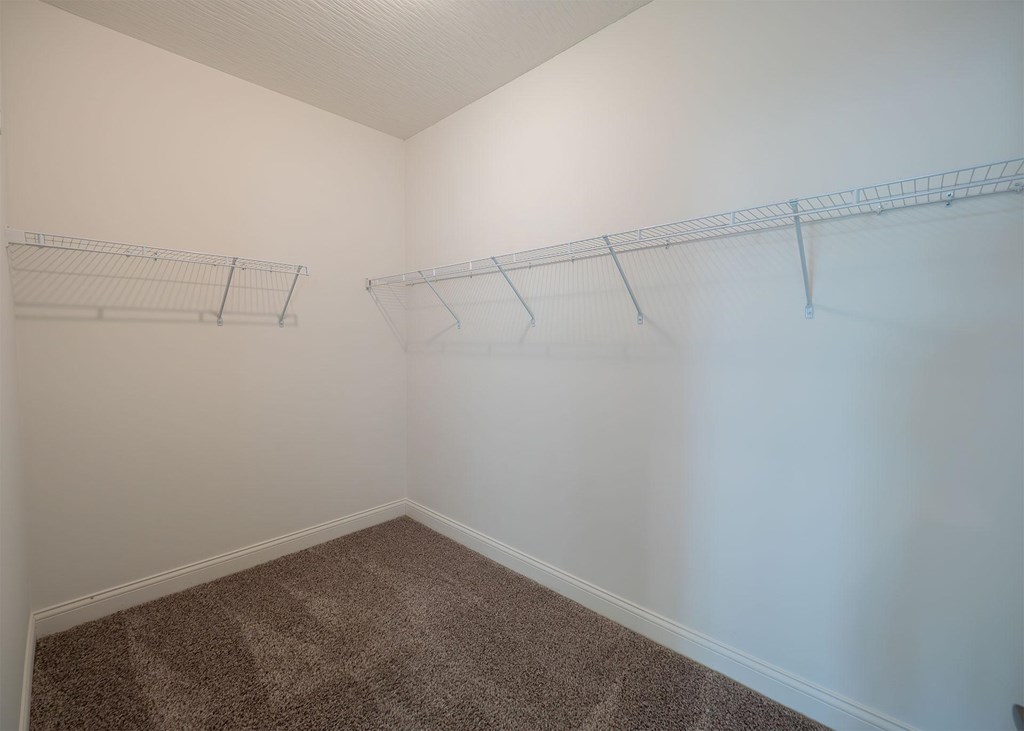 Empty room with two shelves and carpeted floor.