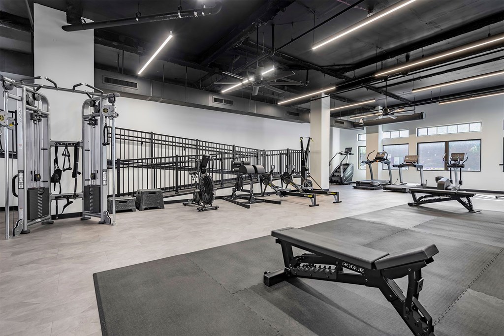 A gym with a variety of equipment including a bench press, squat rack, and a rowing machine.
