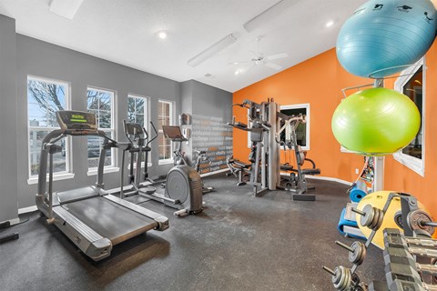A gym with a treadmill, weights, and exercise balls.