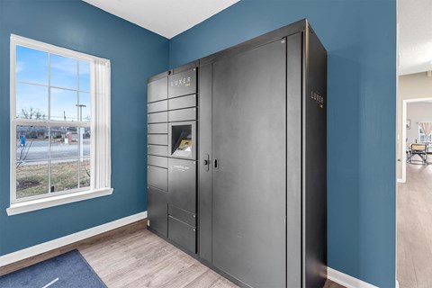 A LUXER branded storage unit in a room with blue walls.