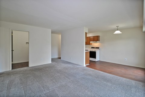 A spacious living room with a grey carpet and a kitchenette in the background.
