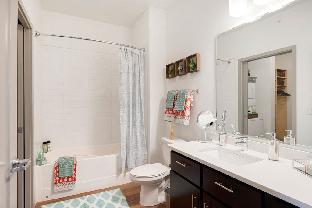 a bathroom with a shower toilet and sink and a mirror