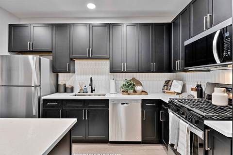 A modern kitchen with black cabinets and stainless steel appliances.