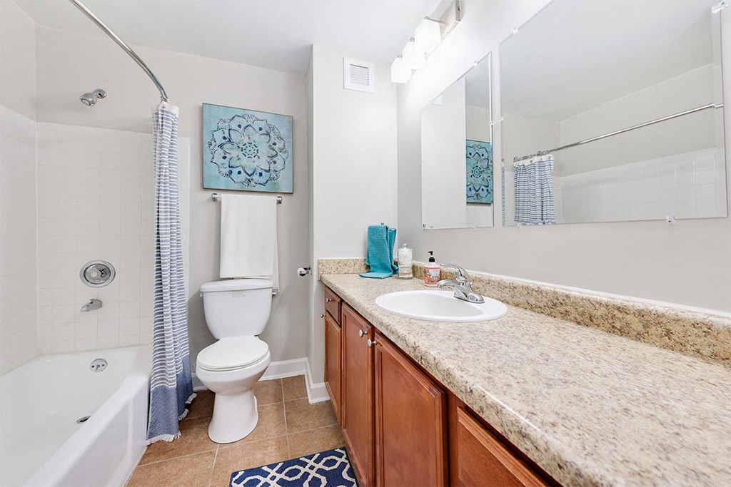 a bathroom with a sink toilet and a bath tub