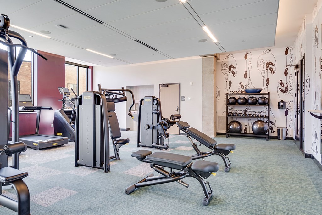 A gym with a variety of equipment including treadmills, weights, and benches.