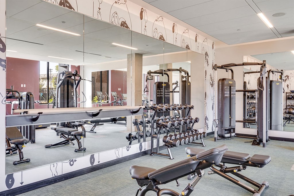 A gym with a variety of equipment including treadmills, weights, and exercise machines.