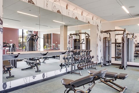 A gym with a variety of equipment including treadmills, weights, and exercise machines.