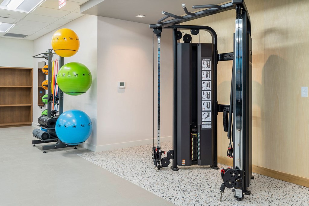 A gym with a weight machine and exercise balls.