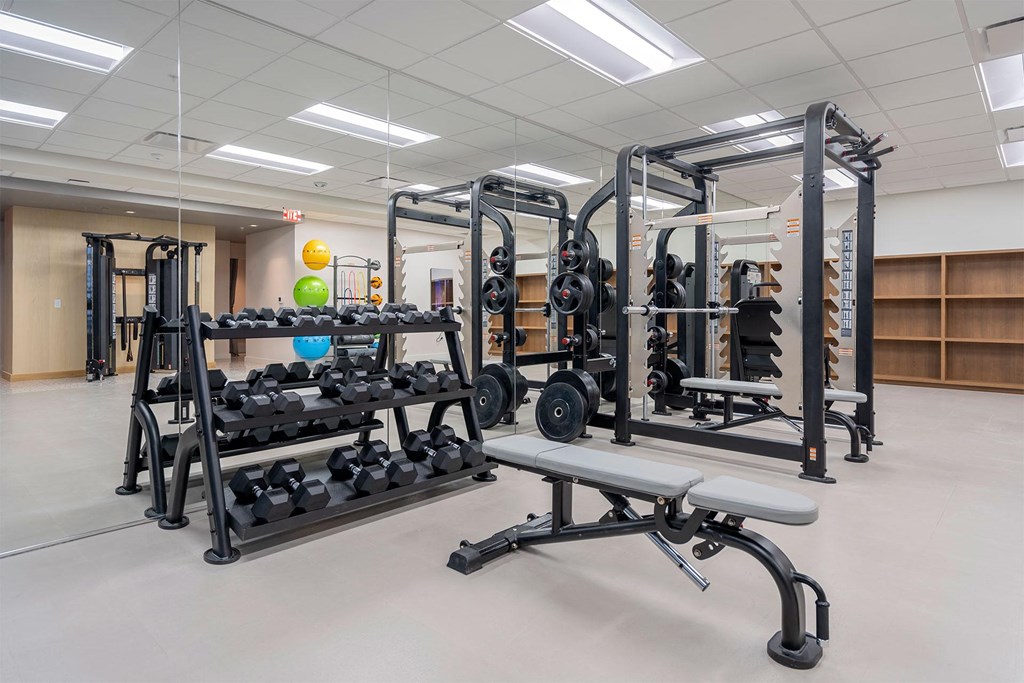 A gym with a variety of equipment including a bench, weights, and a squat rack.