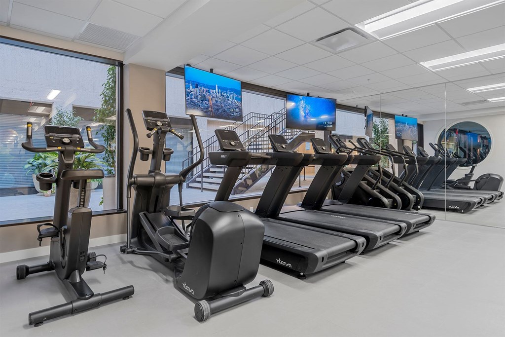 A row of treadmills and elliptical machines in a gym.