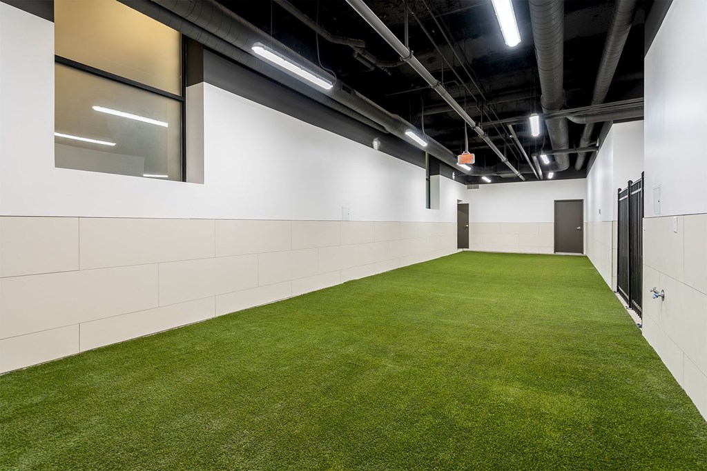 A room with artificial grass and white walls.