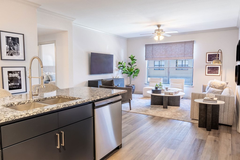 an open living room with a kitchen and a living room